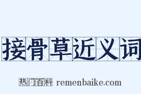 接骨草近义词是什么意思的图片